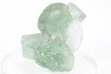 Green, Cubic Fluorite Crystals on Quartz - Inner Mongolia #216780-1